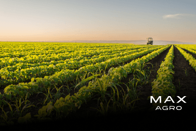 Discusión de rindes norteamericanos calientan los precios -  Max Agro 24-08-2026